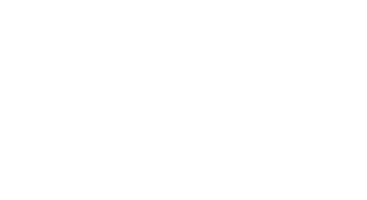 PUMA Solutions Global